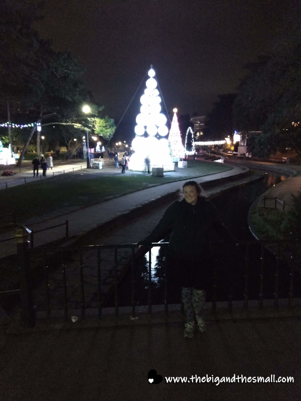 Christmas lights display.png