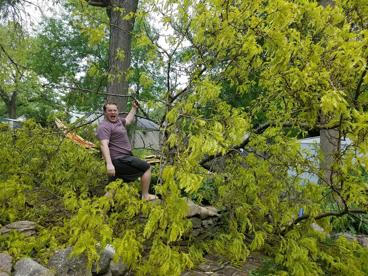 Joel in fallen tree